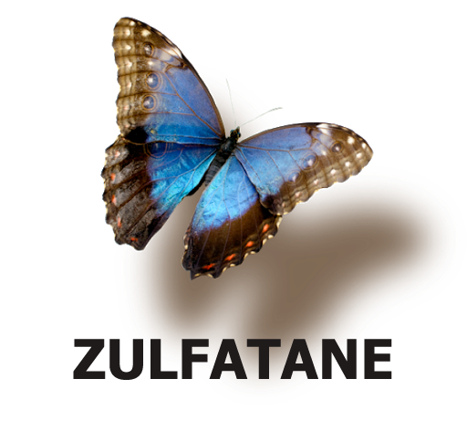 Logo png